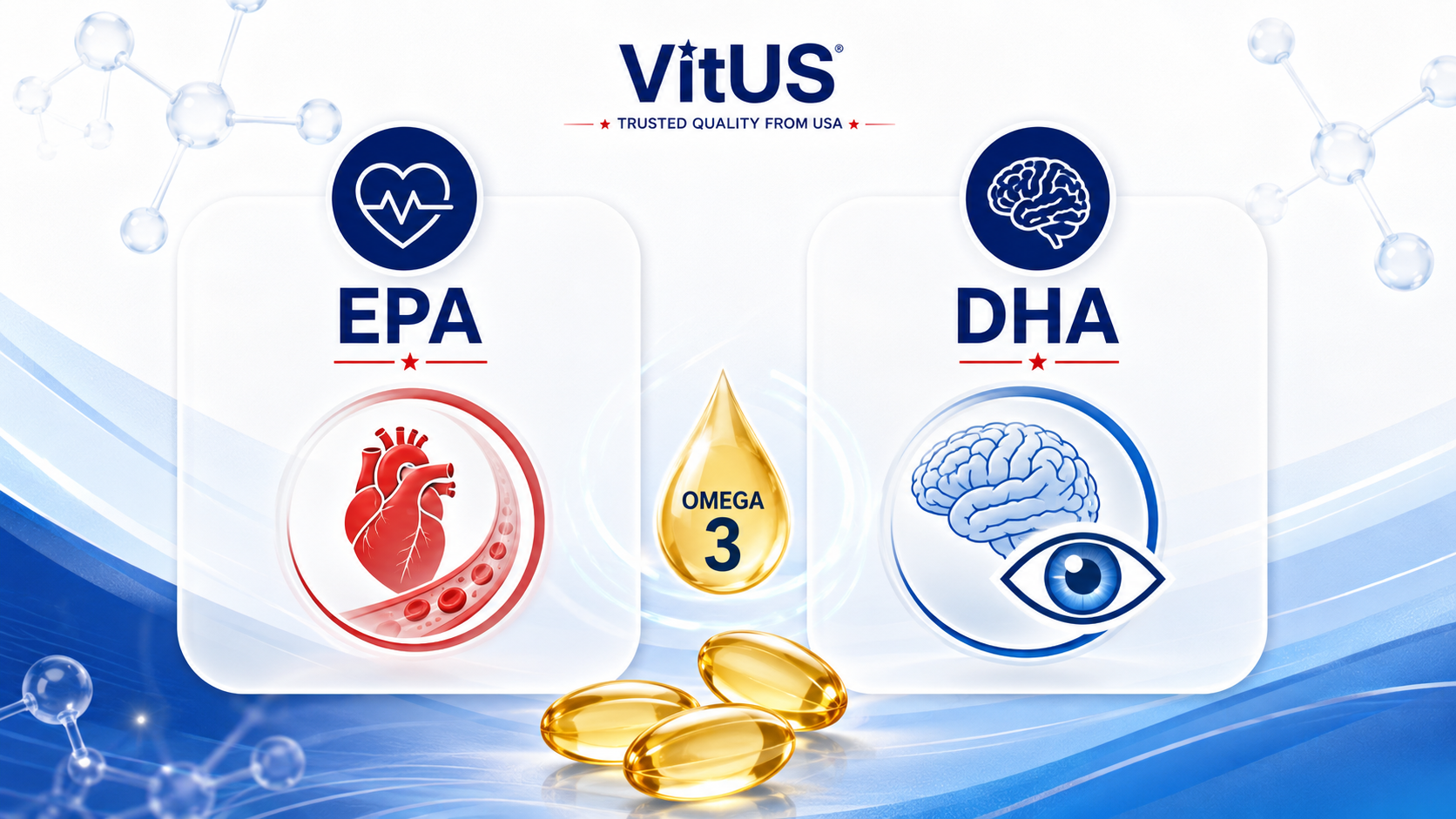ภาพอธิบาย EPA และ DHA ในน้ำมันปลา Omega-3 สำหรับสนับสนุนหัวใจ สมอง และดวงตา