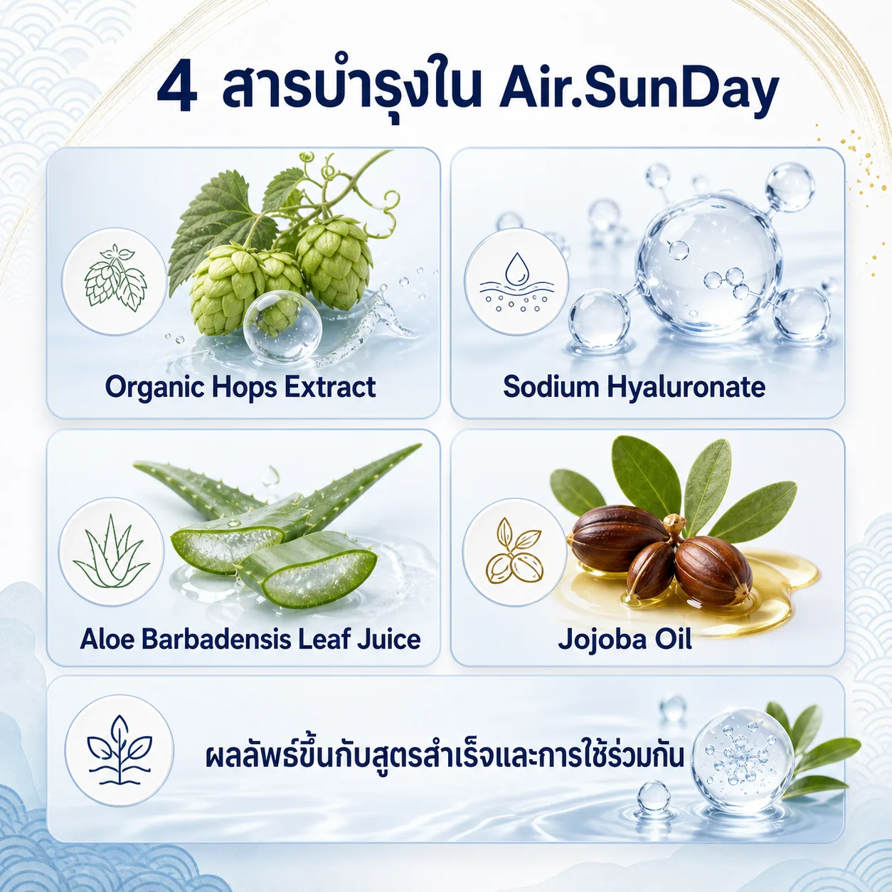 สรุป Organic Hops Extract Sodium Hyaluronate Aloe Barbadensis Leaf Juice และ Jojoba Oil