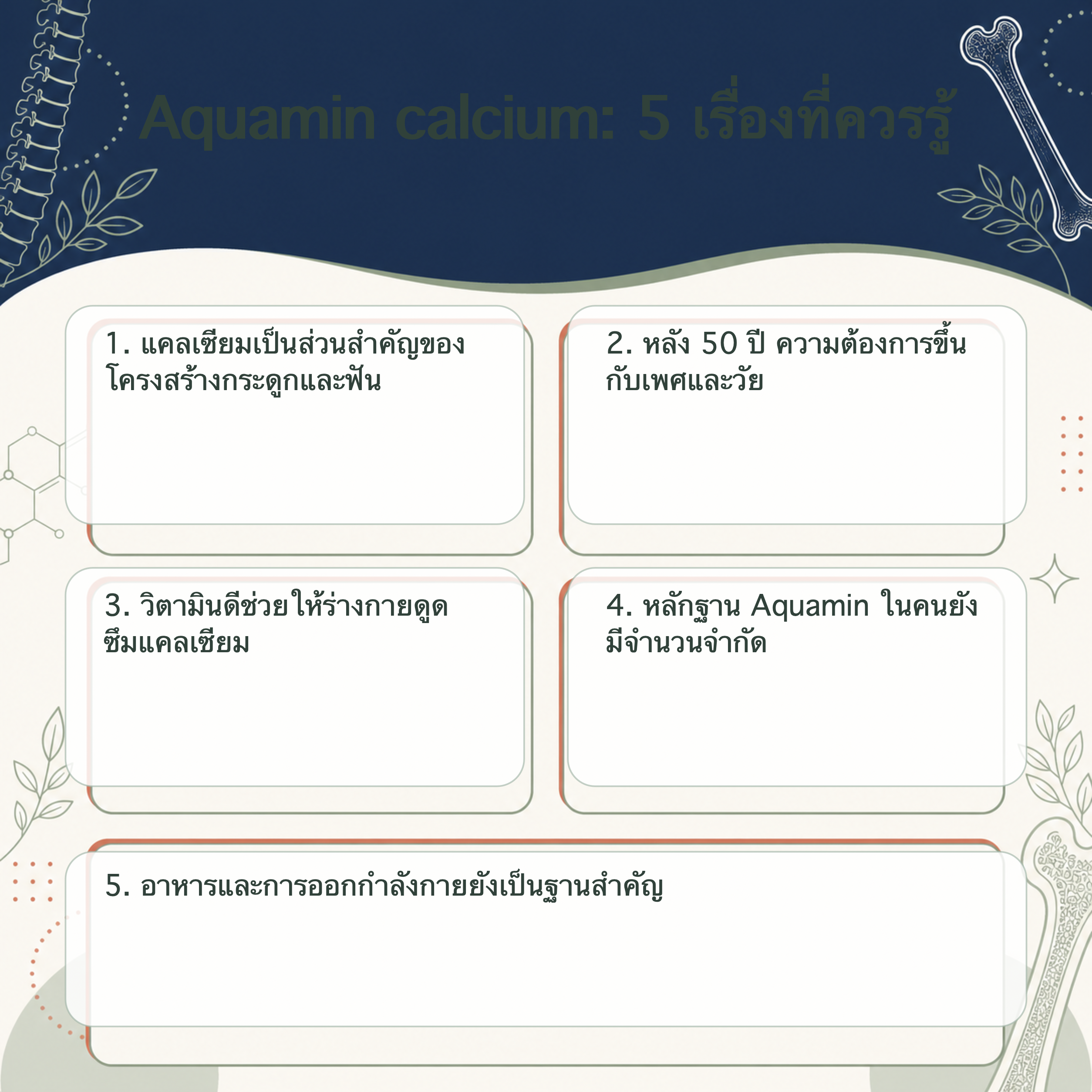 อินโฟกราฟิก Aquamin calcium 5 เรื่องที่ควรรู้สำหรับผู้ใหญ่หลังอายุ 50 ปี