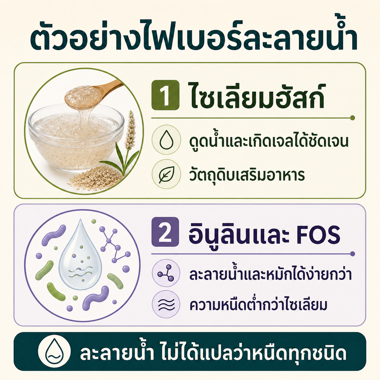 อินโฟกราฟิกสรุปไฟเบอร์ละลายน้ำและไม่ละลายน้ำพร้อมตัวอย่างอาหาร