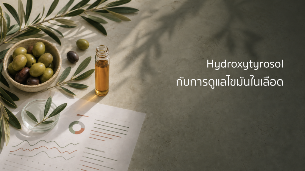 มะกอก ใบมะกอก และภาพแทนการตรวจไขมันในเลือดสำหรับงานวิจัย hydroxytyrosol