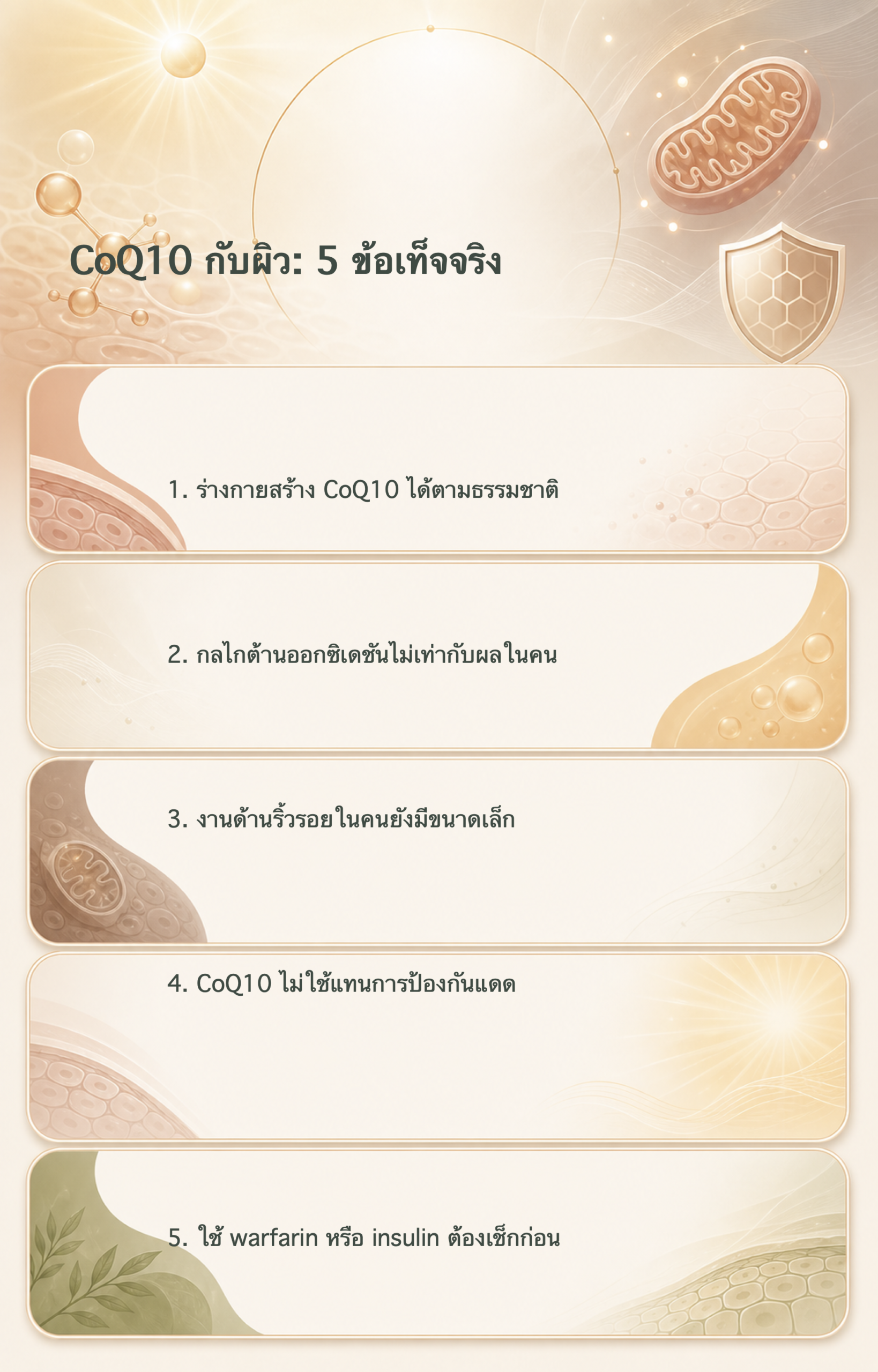 อินโฟกราฟิก CoQ10 กับผิว 5 ข้อเท็จจริงก่อนคาดหวังผล