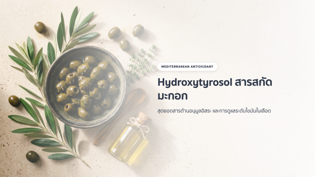 สารสกัดมะกอก Hydroxytyrosol: สุดยอดสารต้านอนุมูลอิสระ และการดูแลระดับไขมันในเลือด