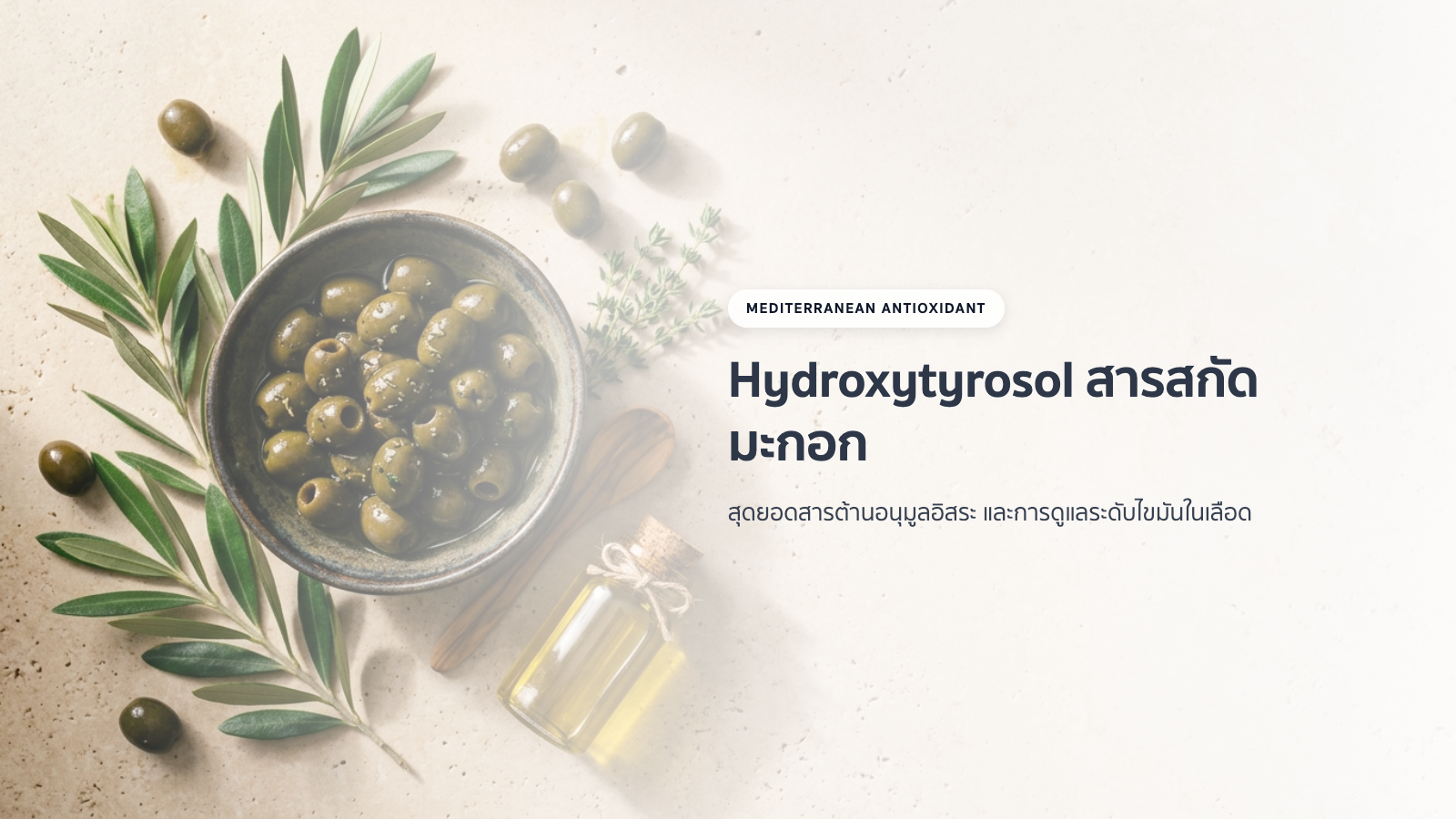 สารสกัดมะกอก Hydroxytyrosol: สุดยอดสารต้านอนุมูลอิสระ และการดูแลระดับไขมันในเลือด